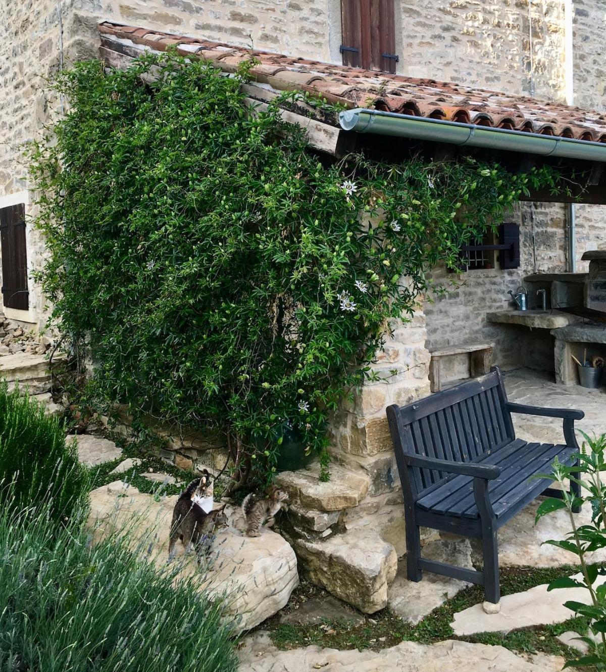 Bolara 60: The Cottage Grožnjan Exteriör bild